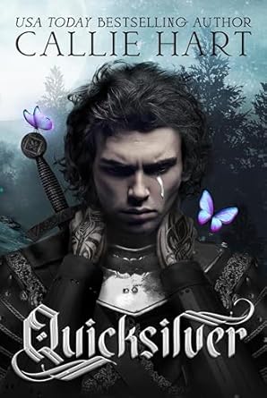 Picture of quicksilver book cover